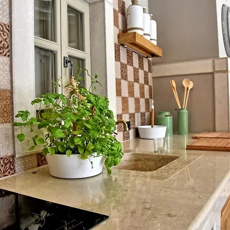 Villa Zita U Svicima For 10 People With Jacuzzi & Sauna In Istria Pićan