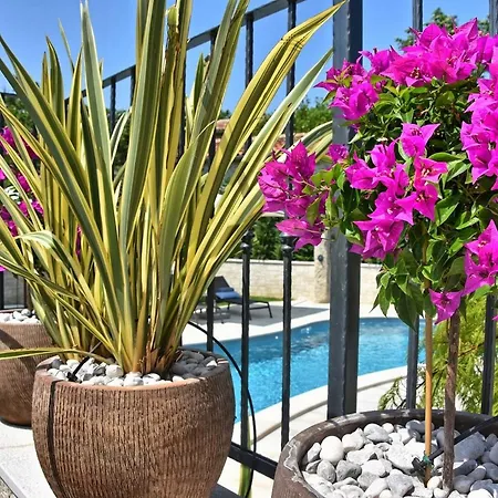 Zita U Svicima For 10 People With Jacuzzi & Sauna In Istria